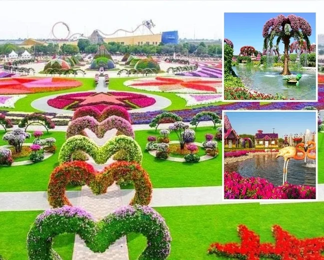Colorful Flower Display Dubai
